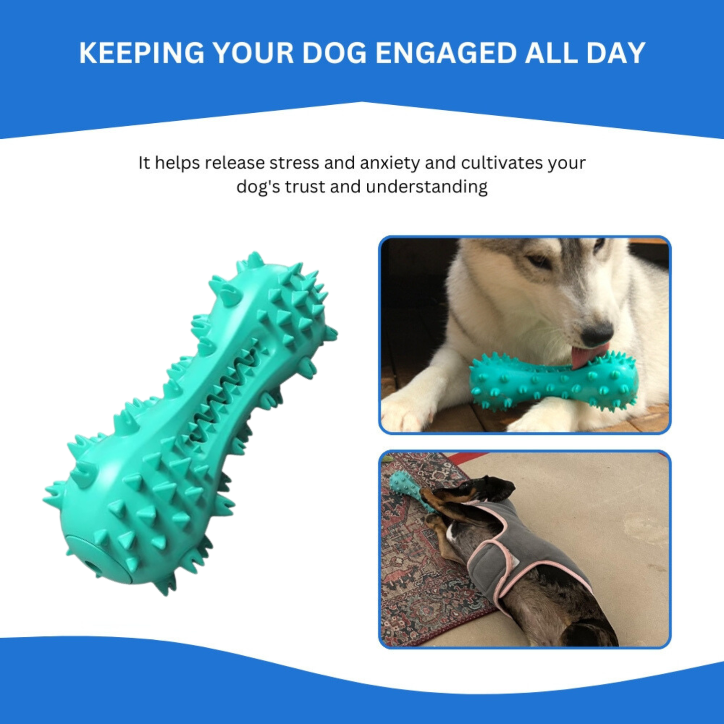 DentaChew® | Cleans Teeth, Freshens Breath, and Keeps Your Dog Happy