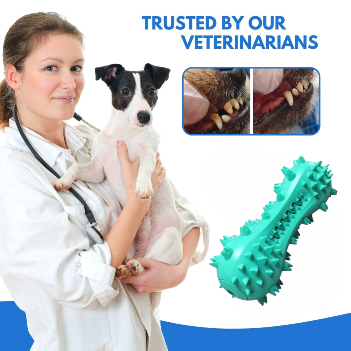 DentaChew® | Cleans Teeth, Freshens Breath, and Keeps Your Dog Happy